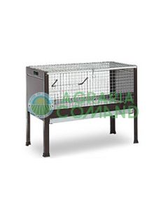 GABBIA PER CONIGLI NANI GABBIA PER CONIGLI NANI